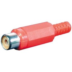 PRESA ROSSA RCA VOLANTE CON GUIDACAVO MELCHIONI 433329712